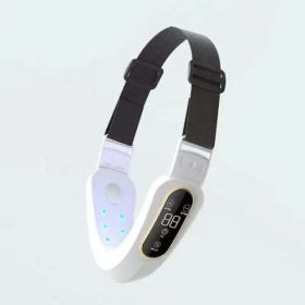 Microcurrent Face Massager EMS LED Photon Therapy V Shape (style: USB, Color: White)